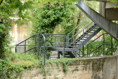 DSC_2583 (Large).JPG